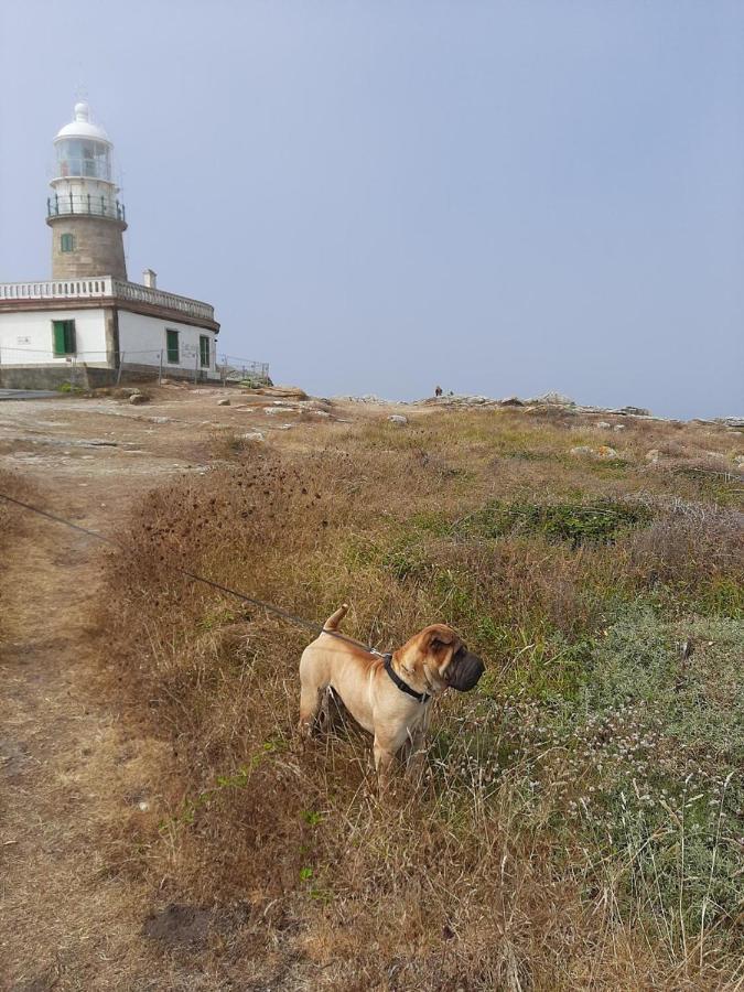 Dunas de Corrubedo Ribeira Exterior foto